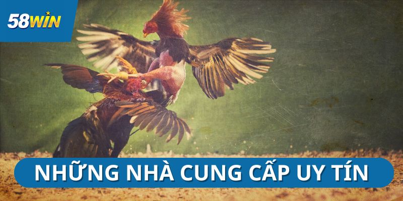 da-ga-58win-cac-nha-cung-cap-hot