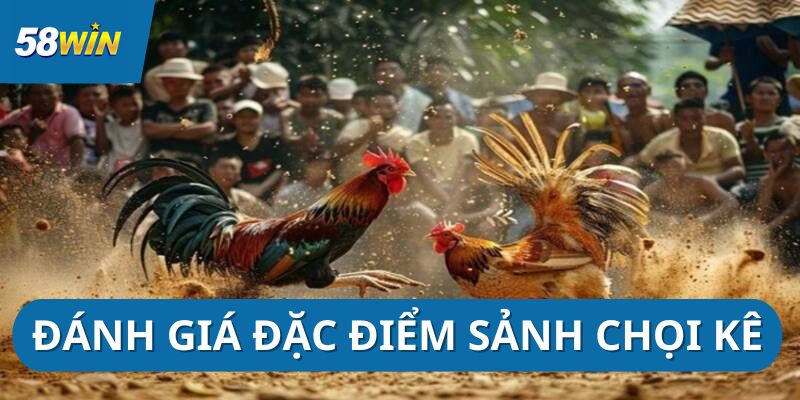 da-ga-58win-danh-gia-dac-diem