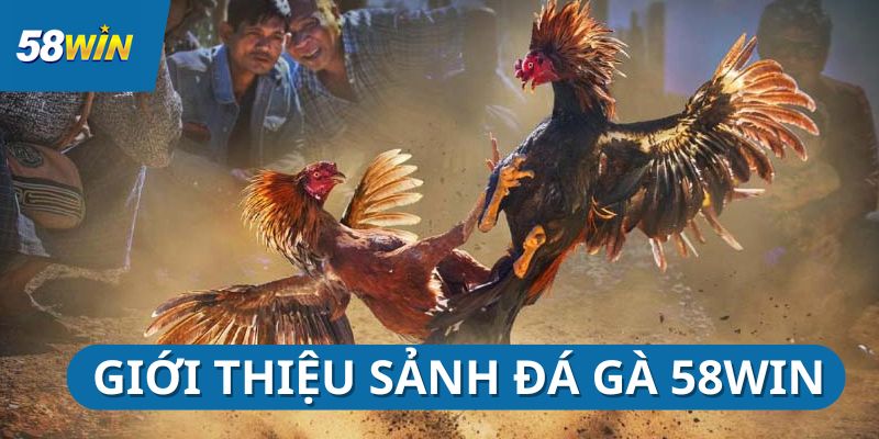 da-ga-58win-gioi-thieu