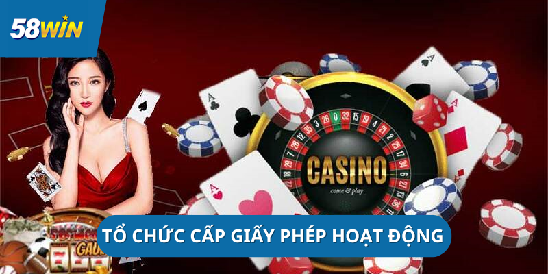 to-chuc-cap-giay-phep-hoat-dong